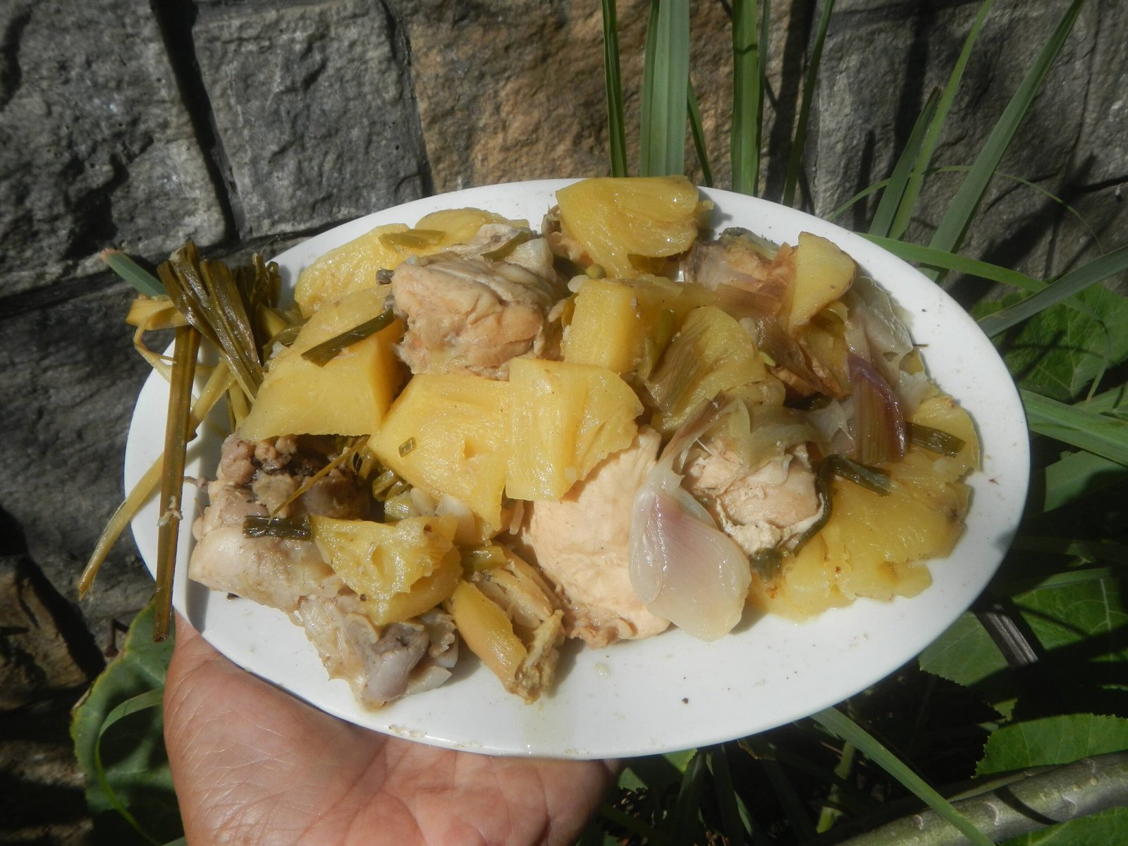 A plate of Pininyahang Manok, featuring tender chicken pieces cooked with pineapple chunks, onions, and green vegetables, highlighting the sweet and savory flavors of this traditional Filipino Pininyahang Manok recipe.